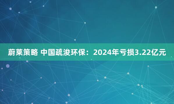 蔚莱策略 中国疏浚环保：2024年亏损3.22亿元