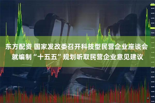 东方配资 国家发改委召开科技型民营企业座谈会 就编制“十五五”规划听取民营企业意见建议