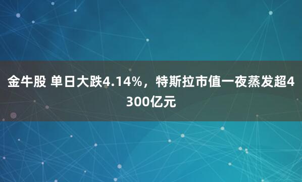 金牛股 单日大跌4.14%，特斯拉市值一夜蒸发超4300亿元